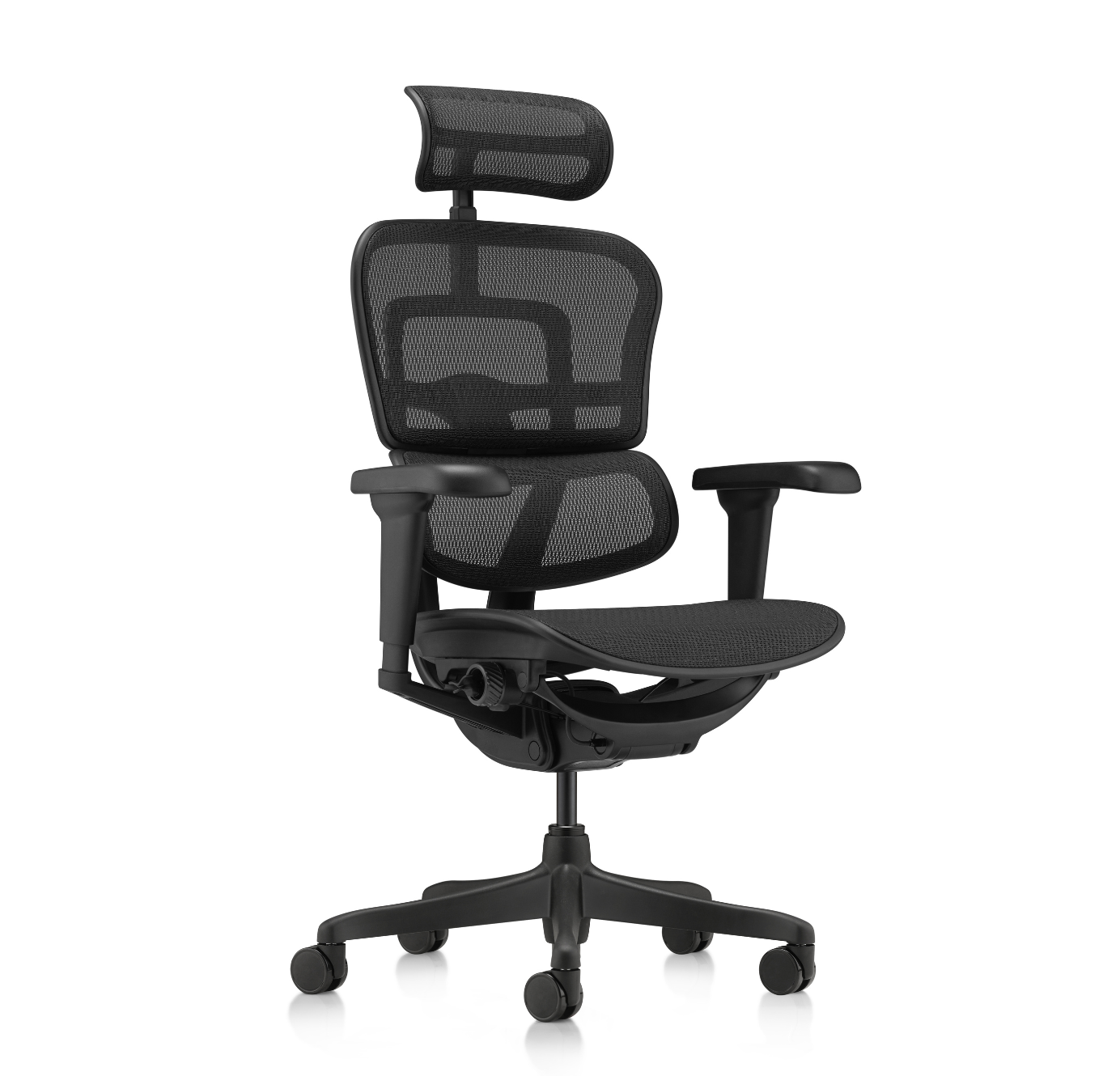 Fauteuil ergonomique - Ergohuman full black